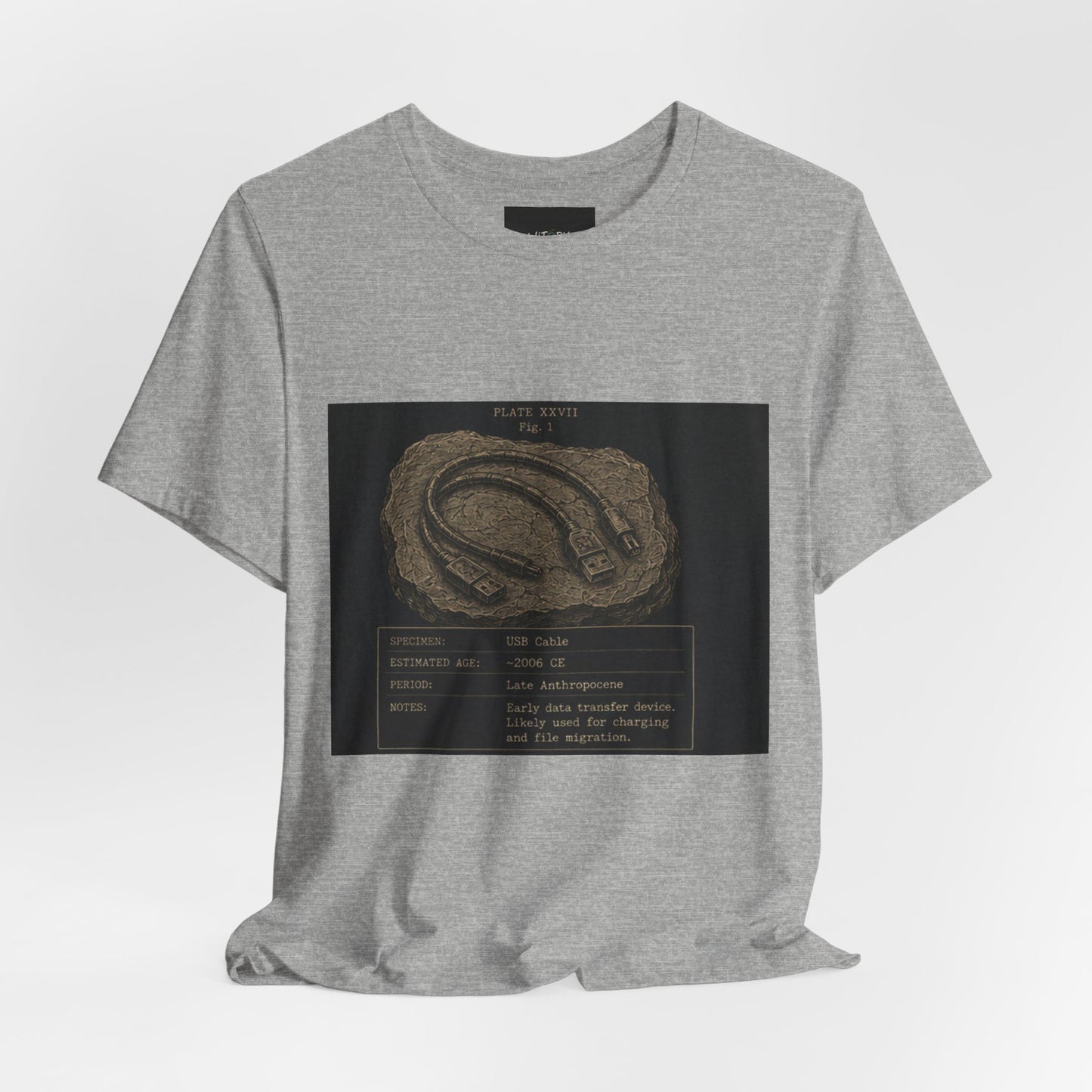 Modern Fossil
