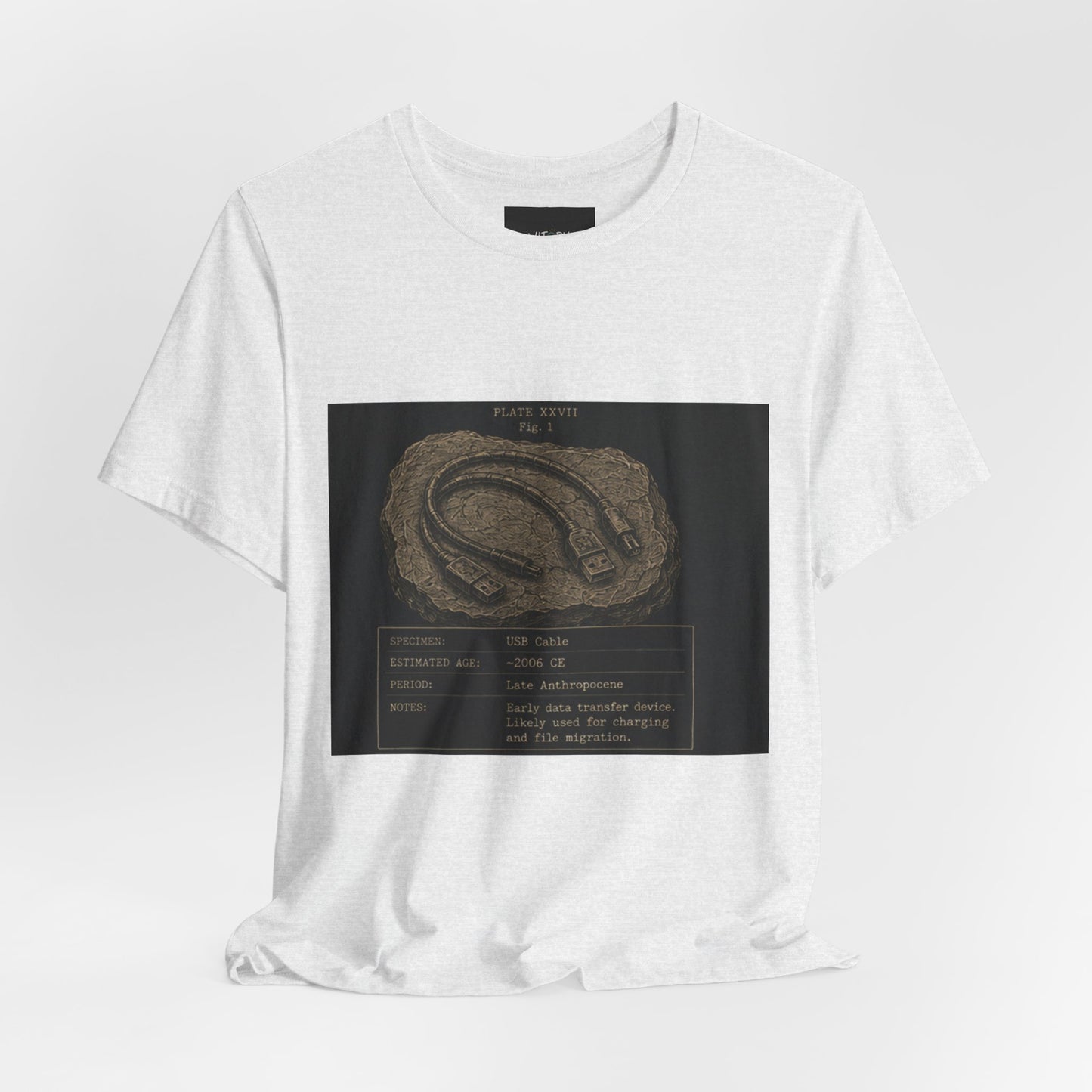Modern Fossil