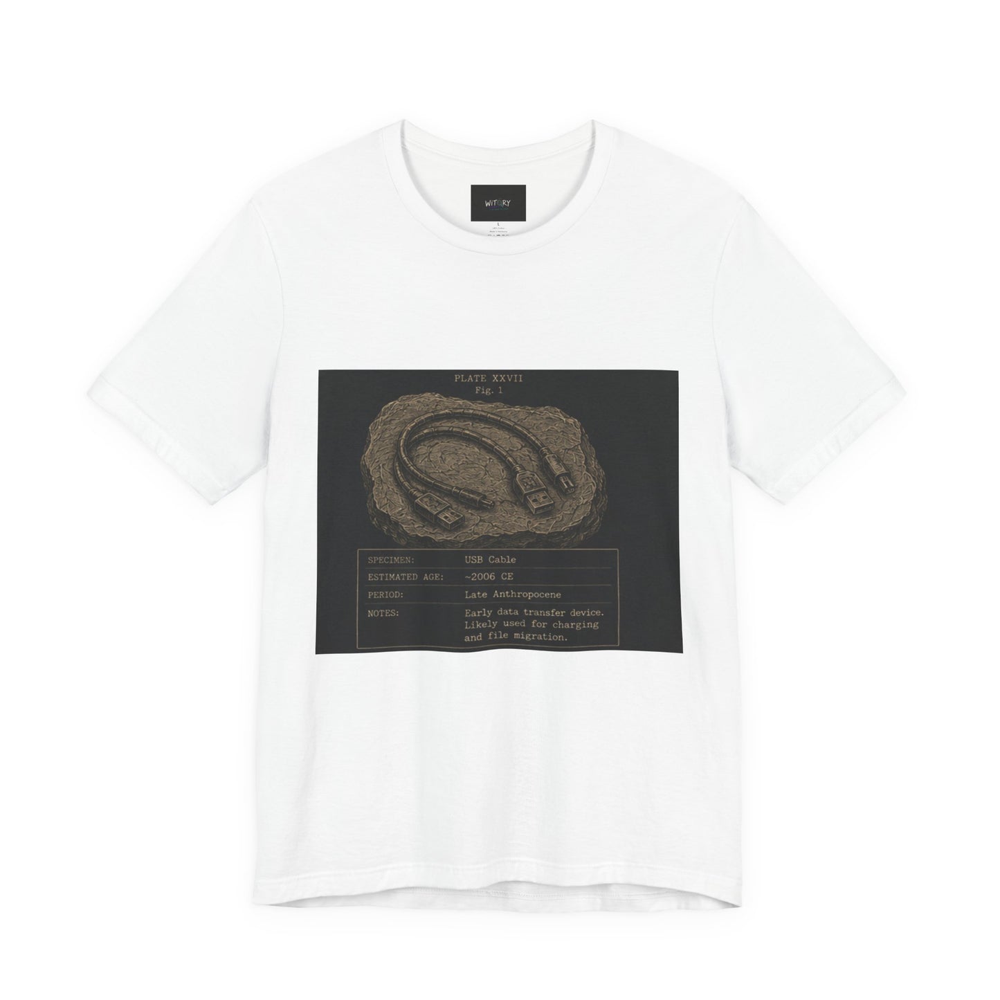 Modern Fossil