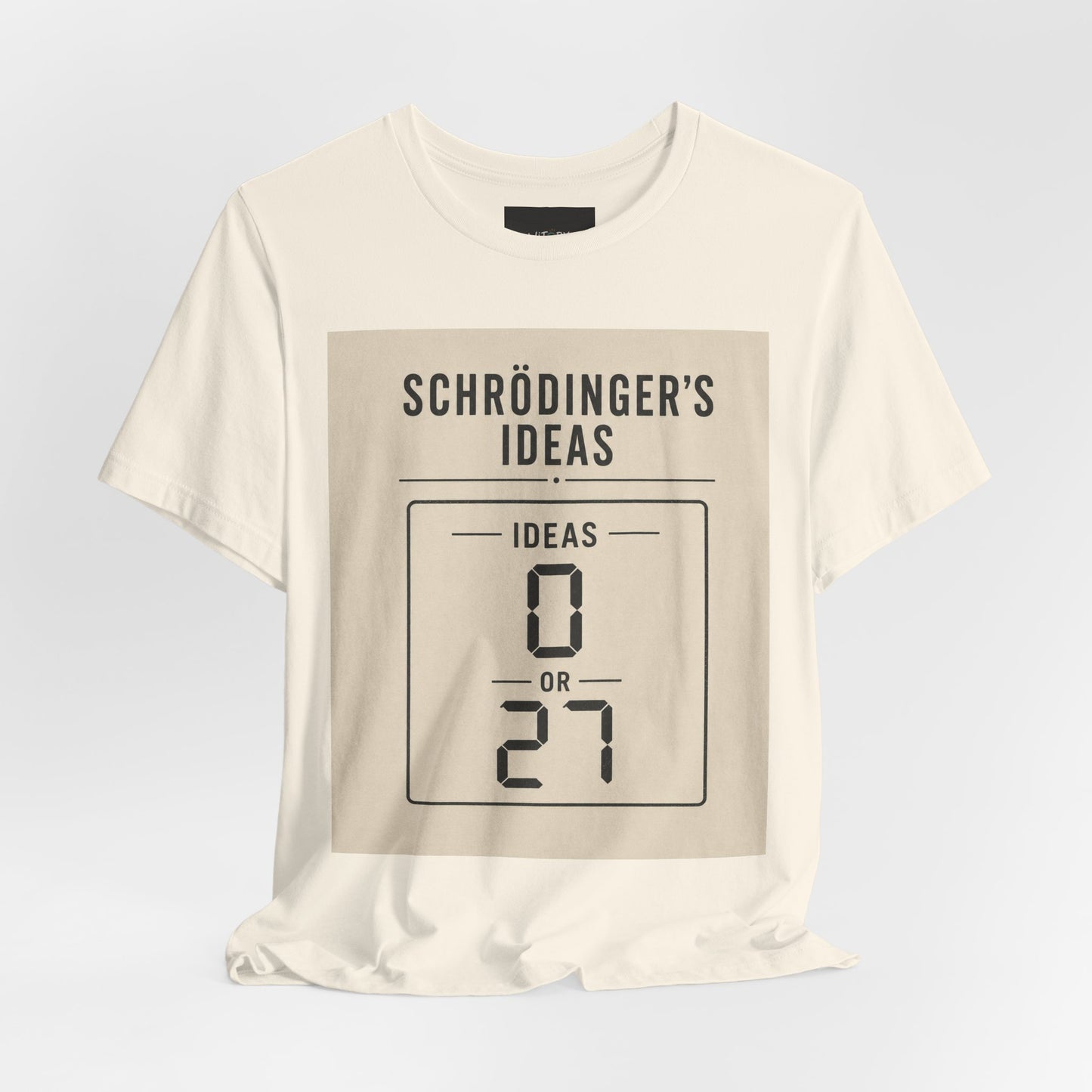 Schrödinger's Ideas