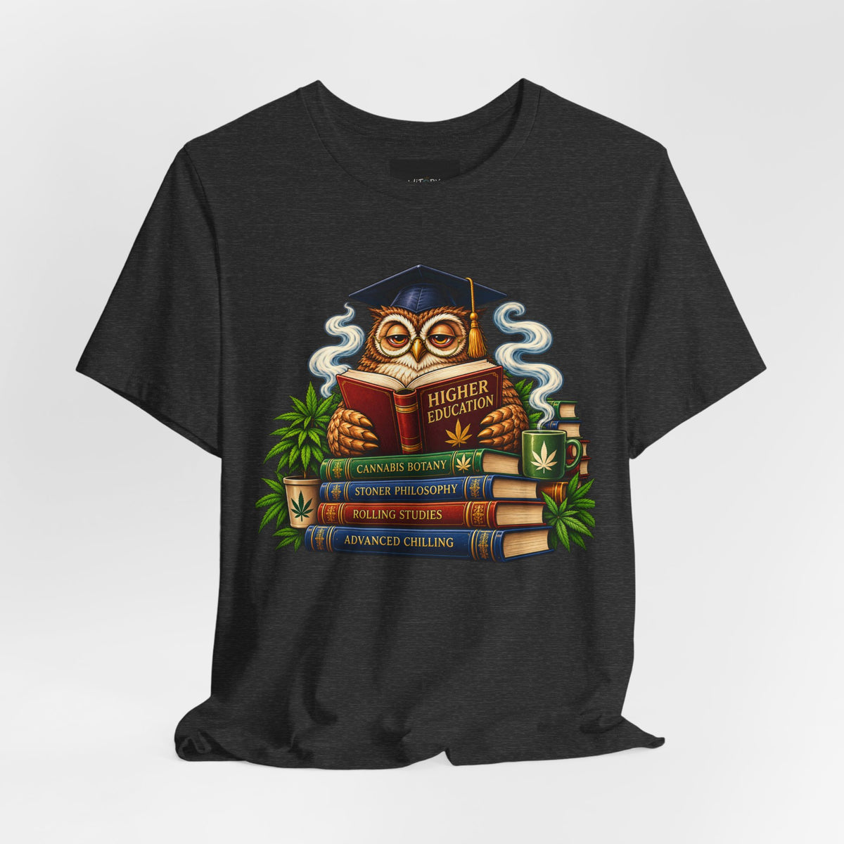 Higher Education