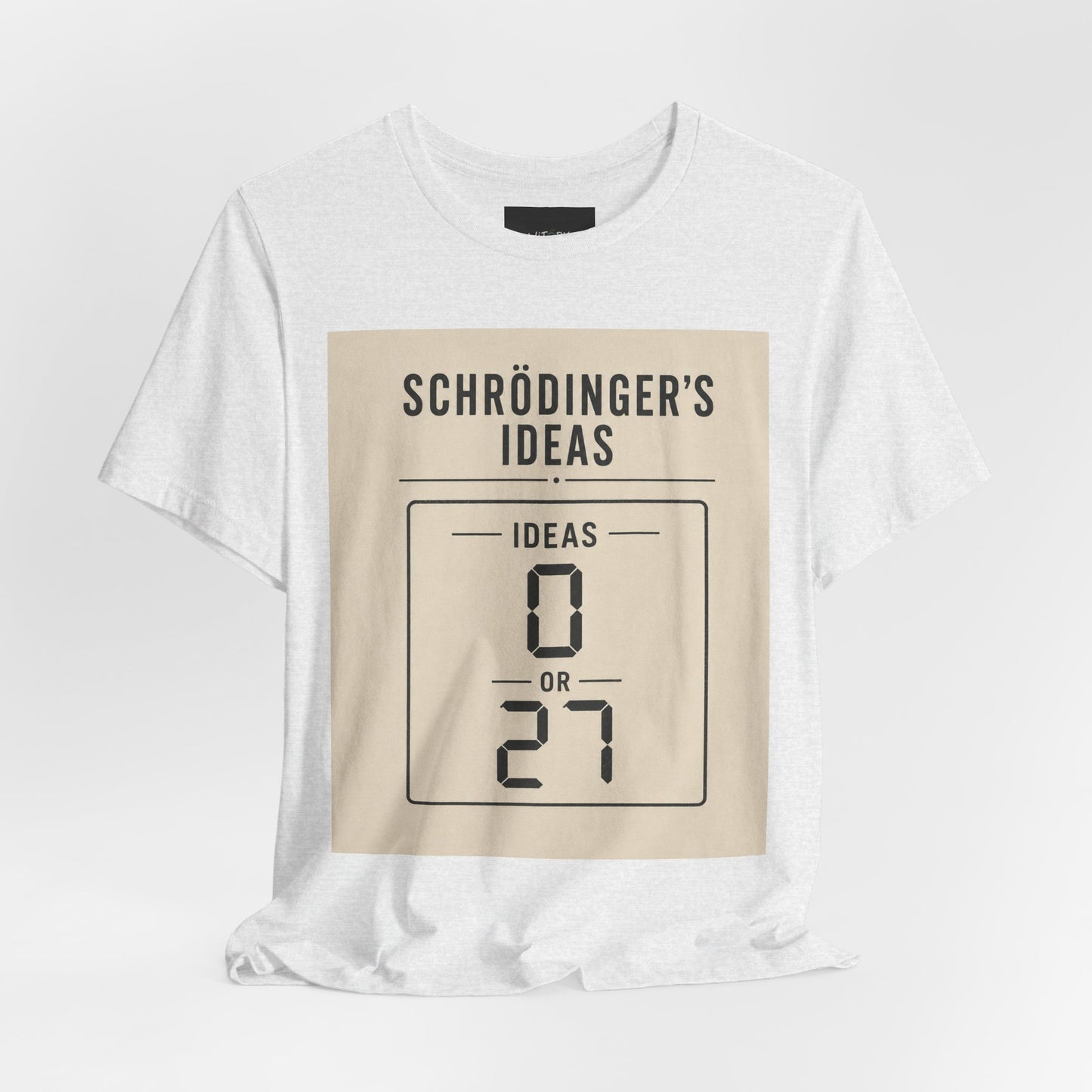 Schrödinger's Ideas