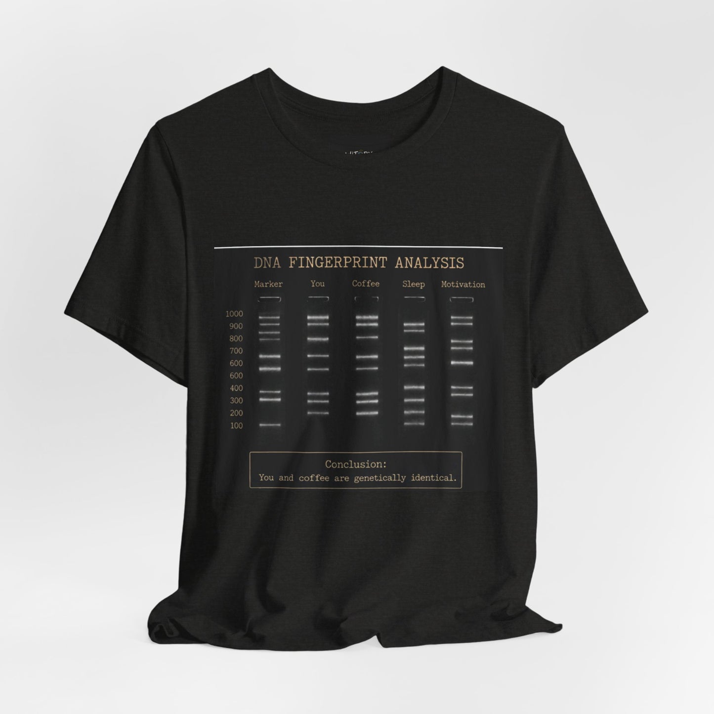 DNA Fingerprint Analysis