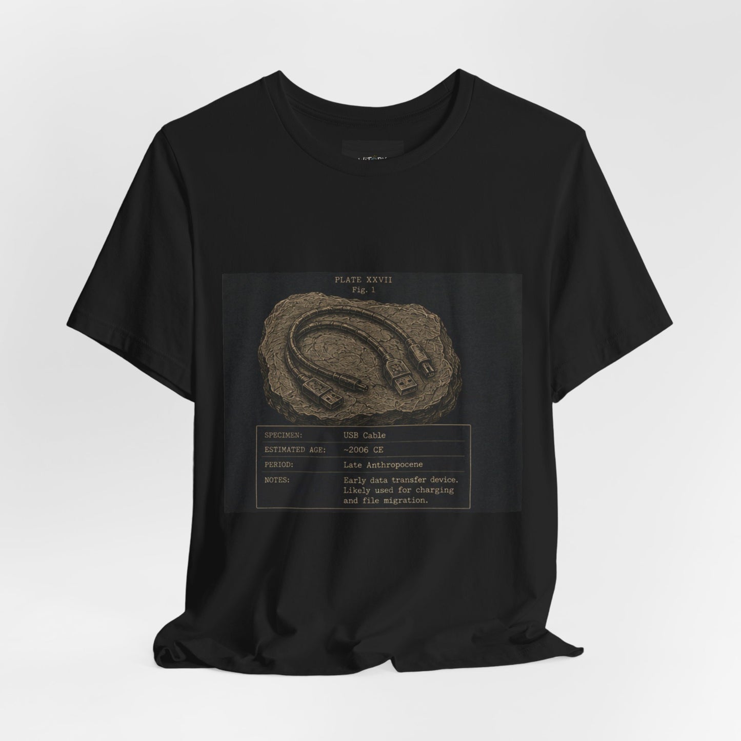 Modern Fossil