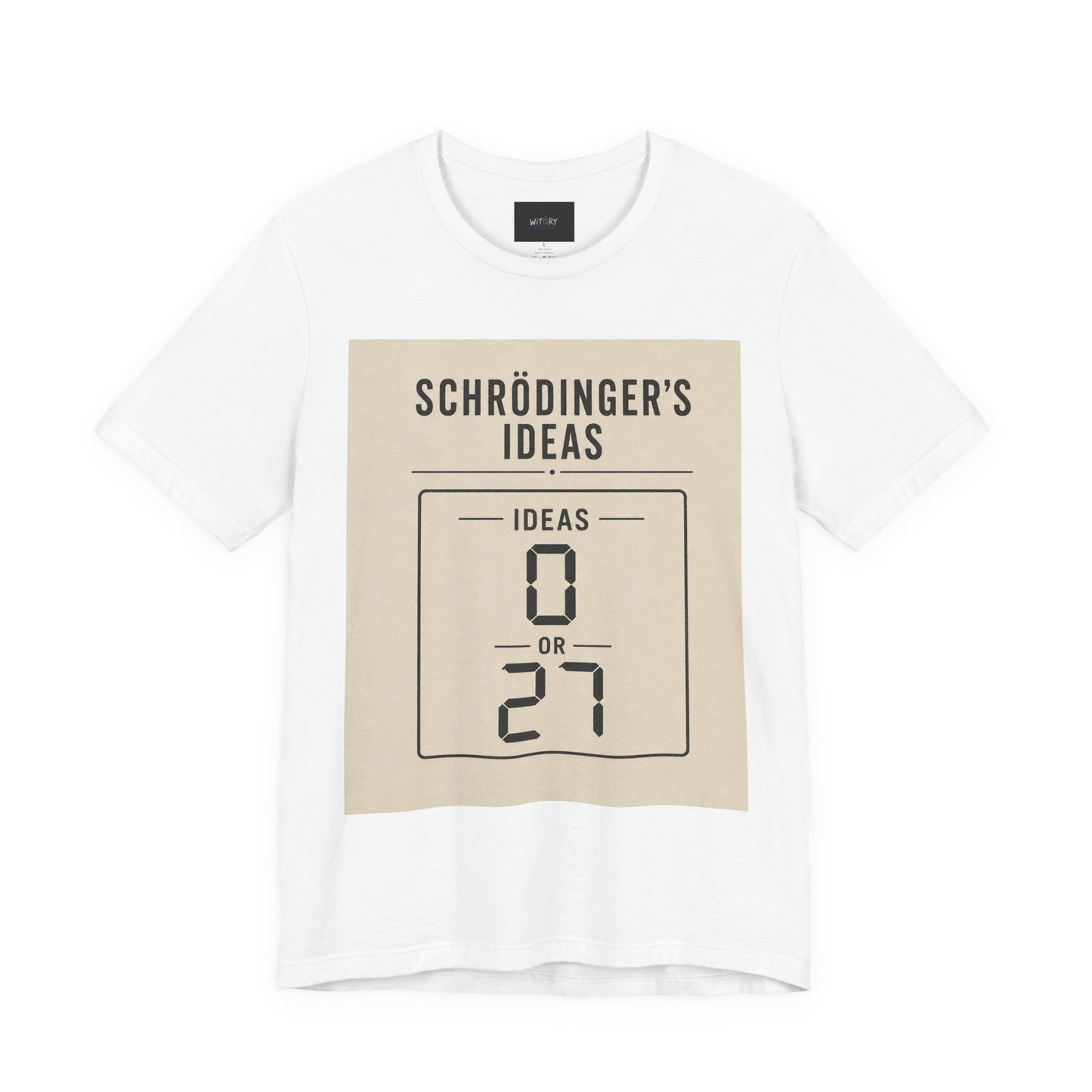 Schrödinger's Ideas