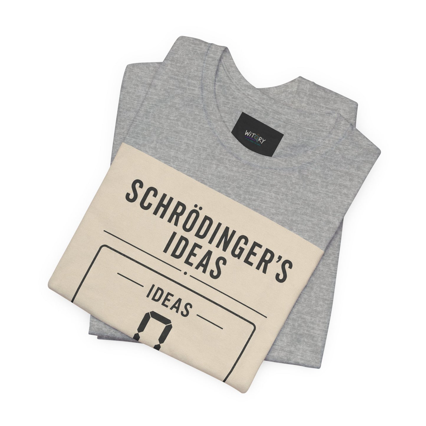 Schrödinger's Ideas