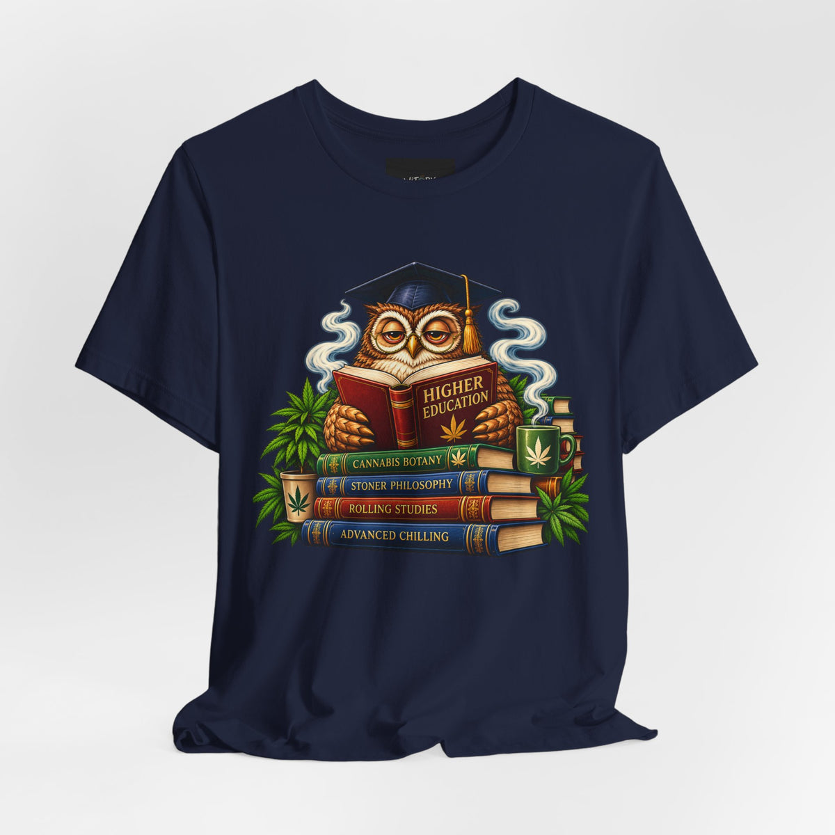 Higher Education