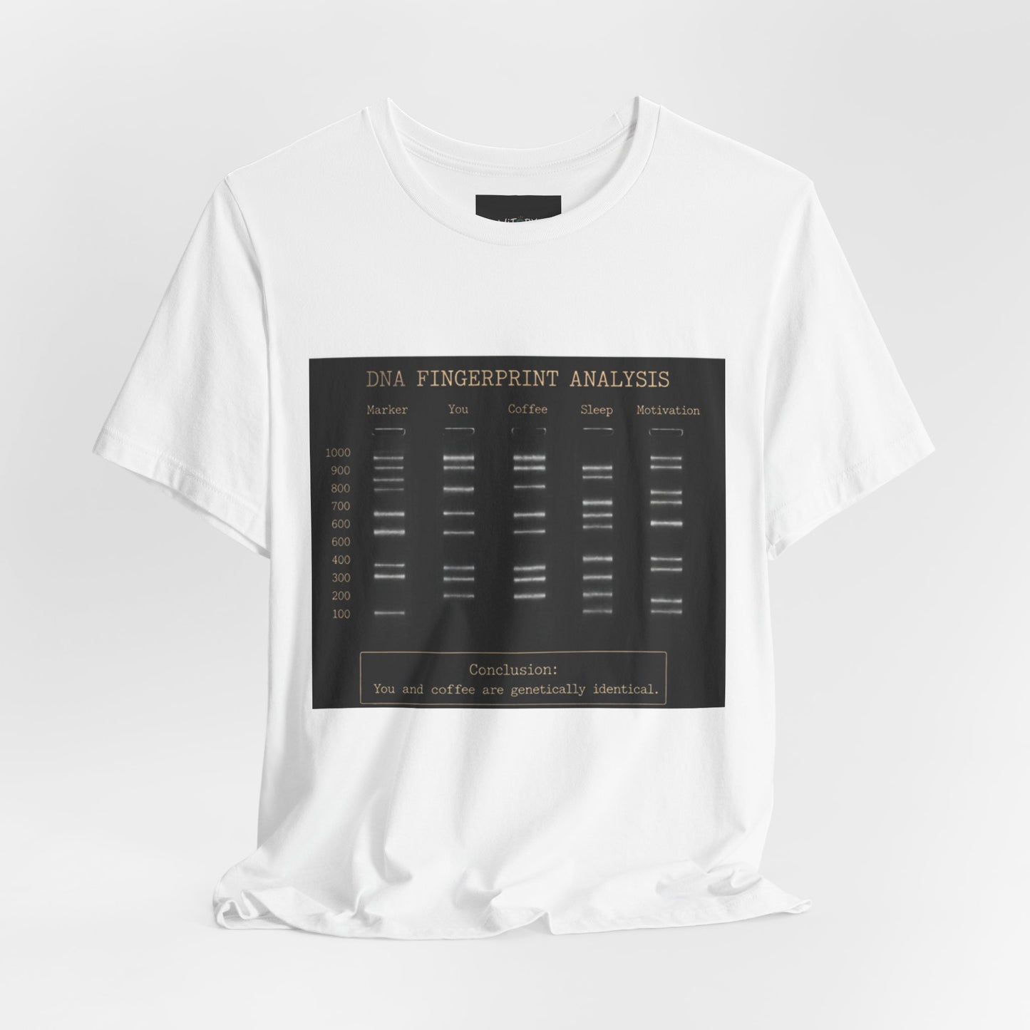 DNA Fingerprint Analysis