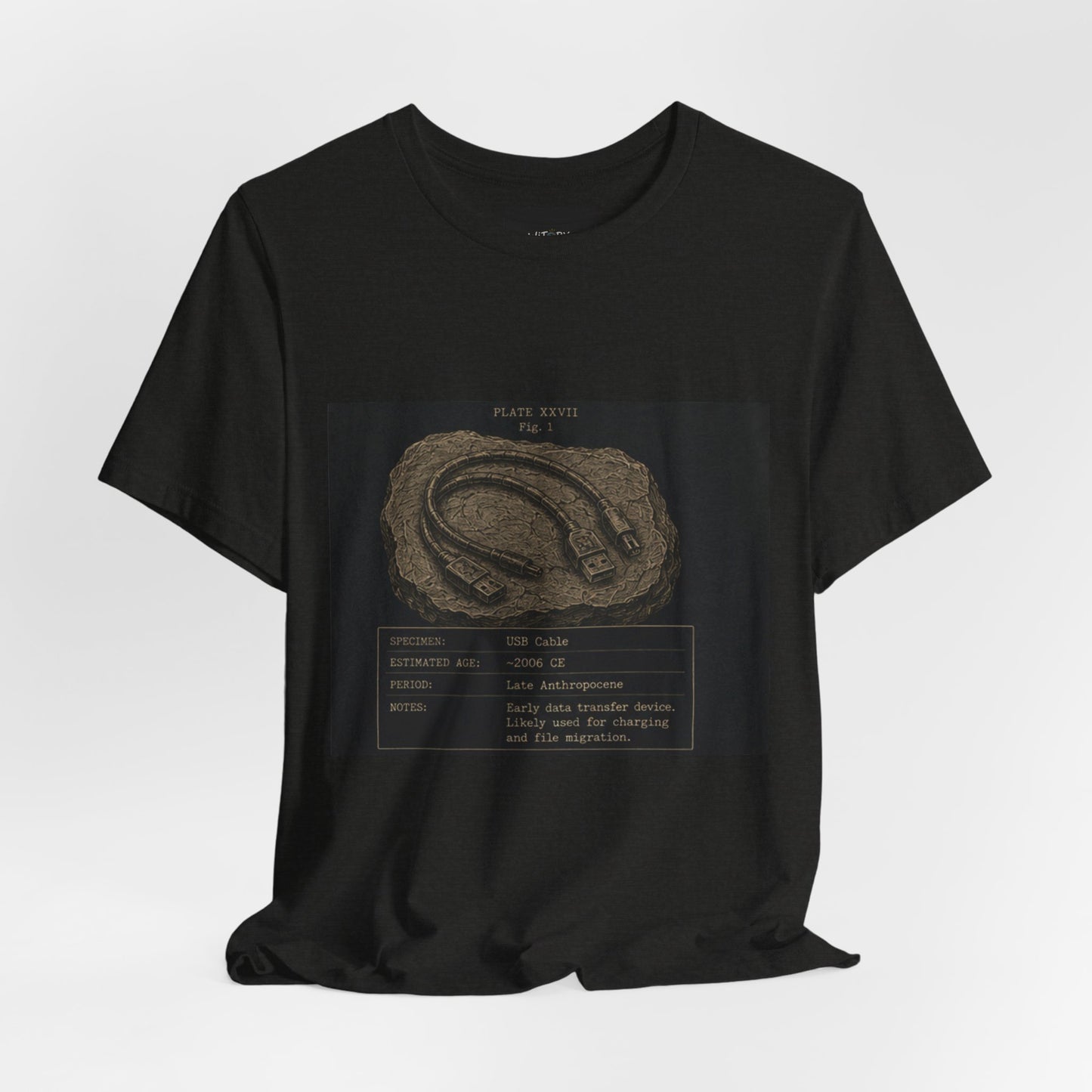 Modern Fossil