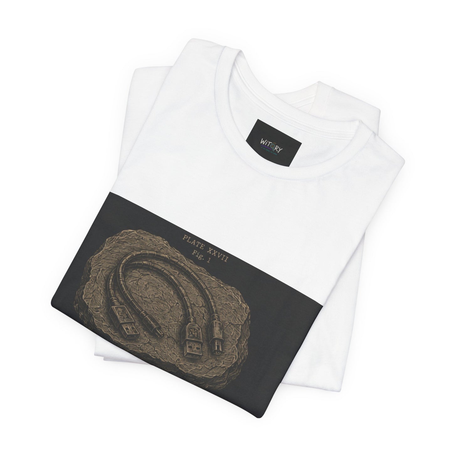 Modern Fossil