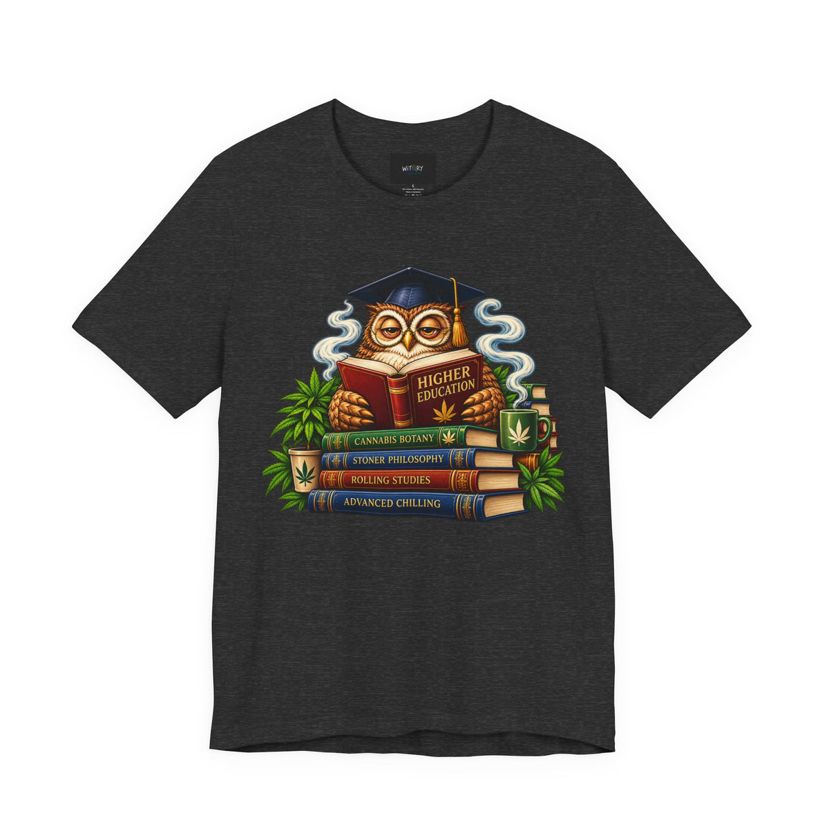 Higher Education