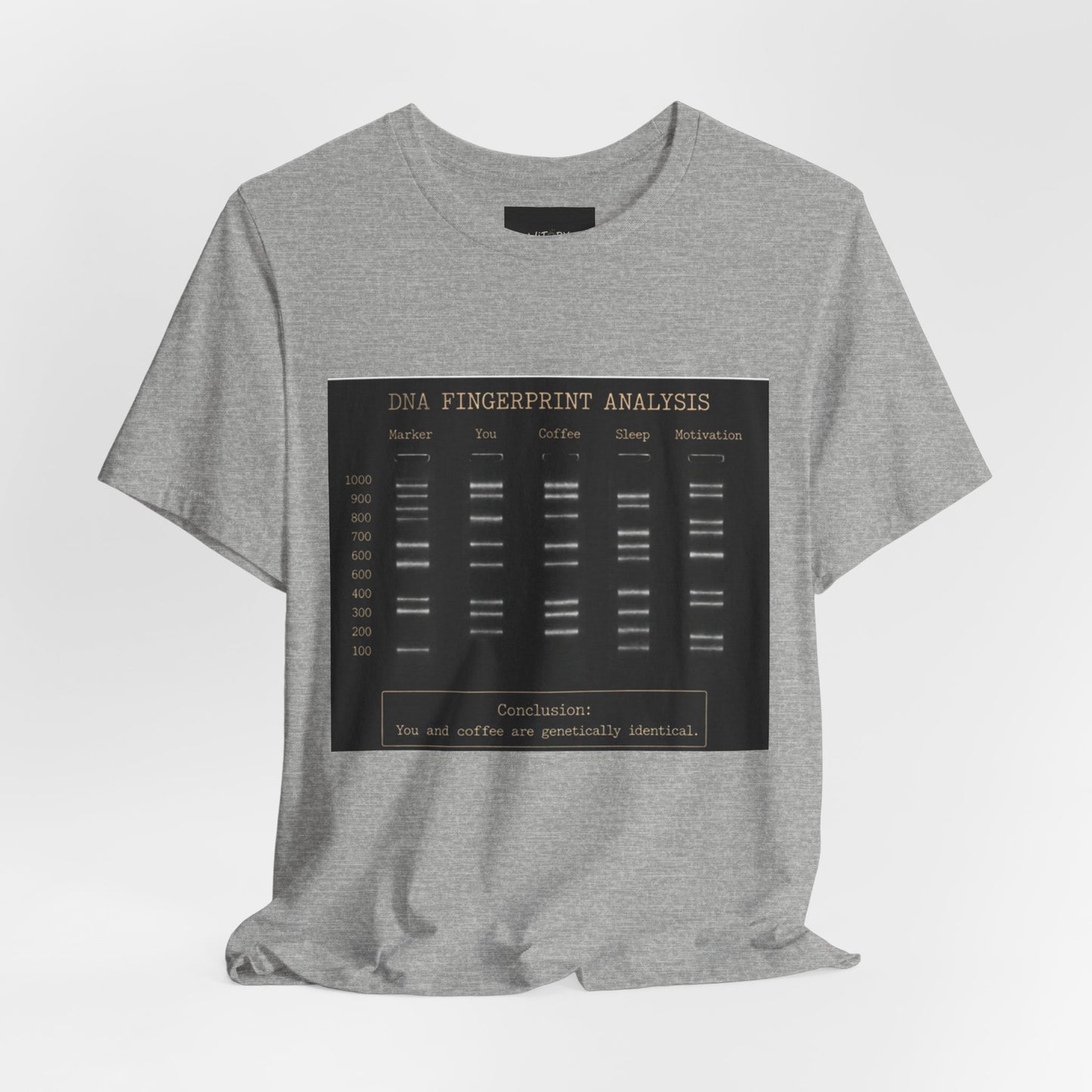 DNA Fingerprint Analysis