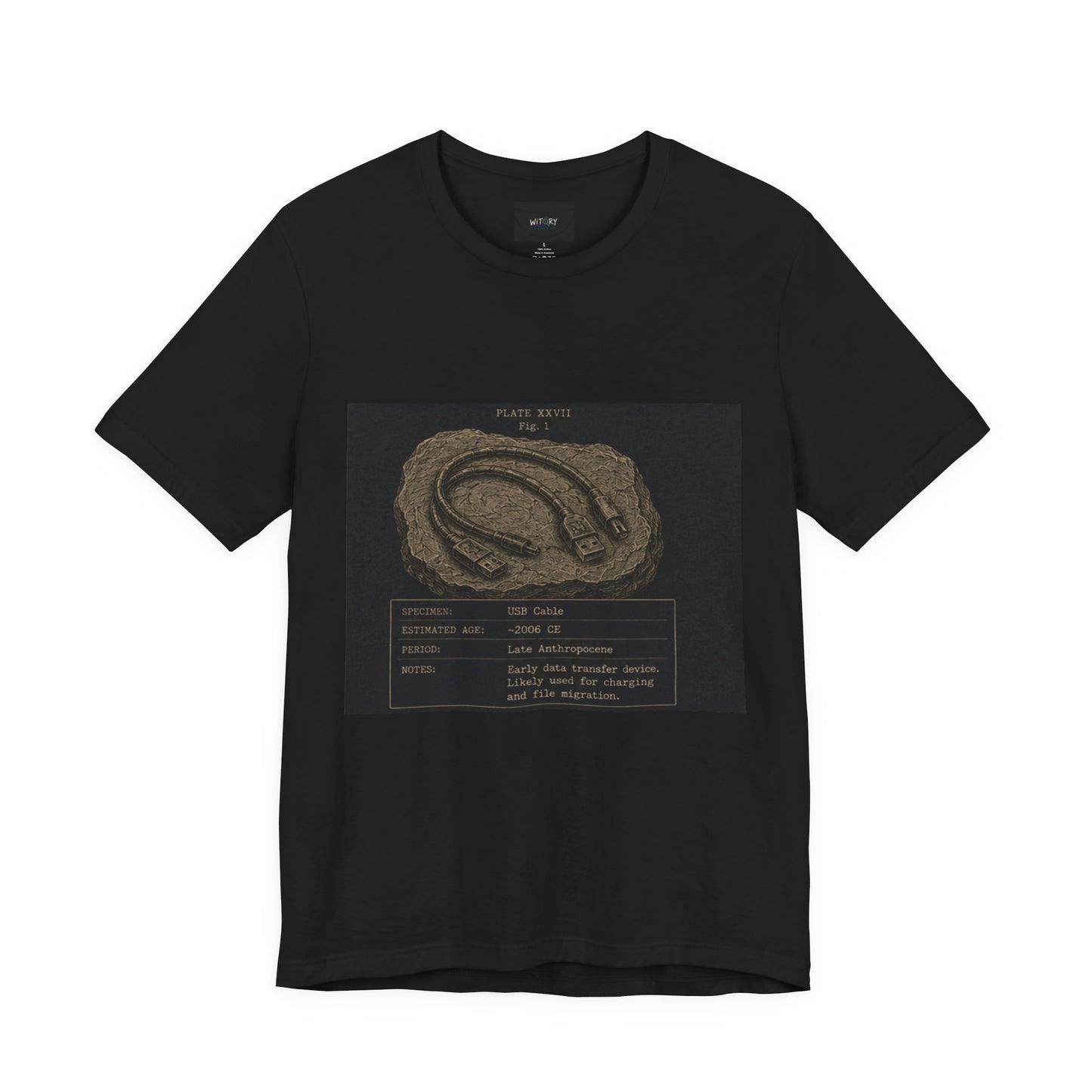 Modern Fossil