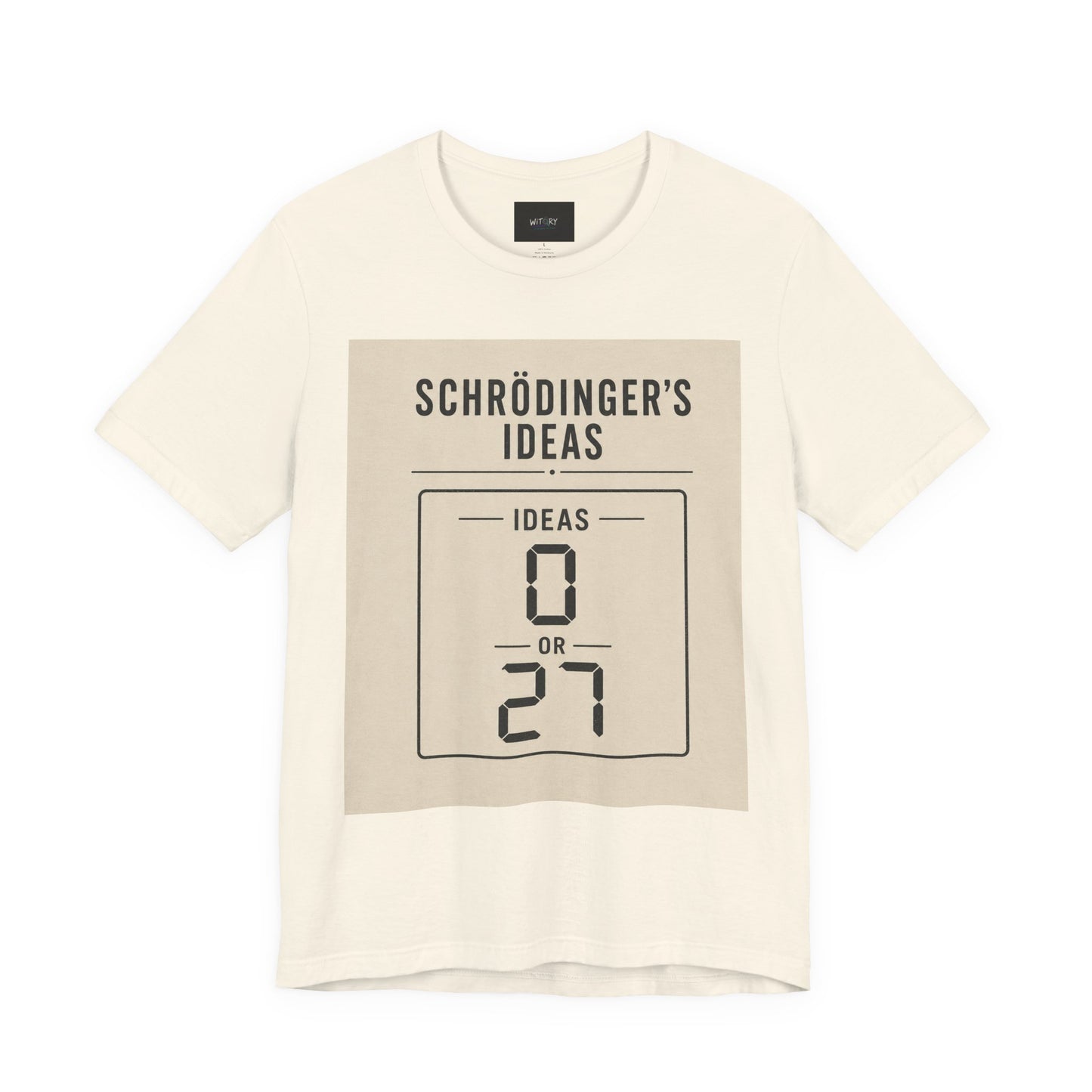Schrödinger's Ideas