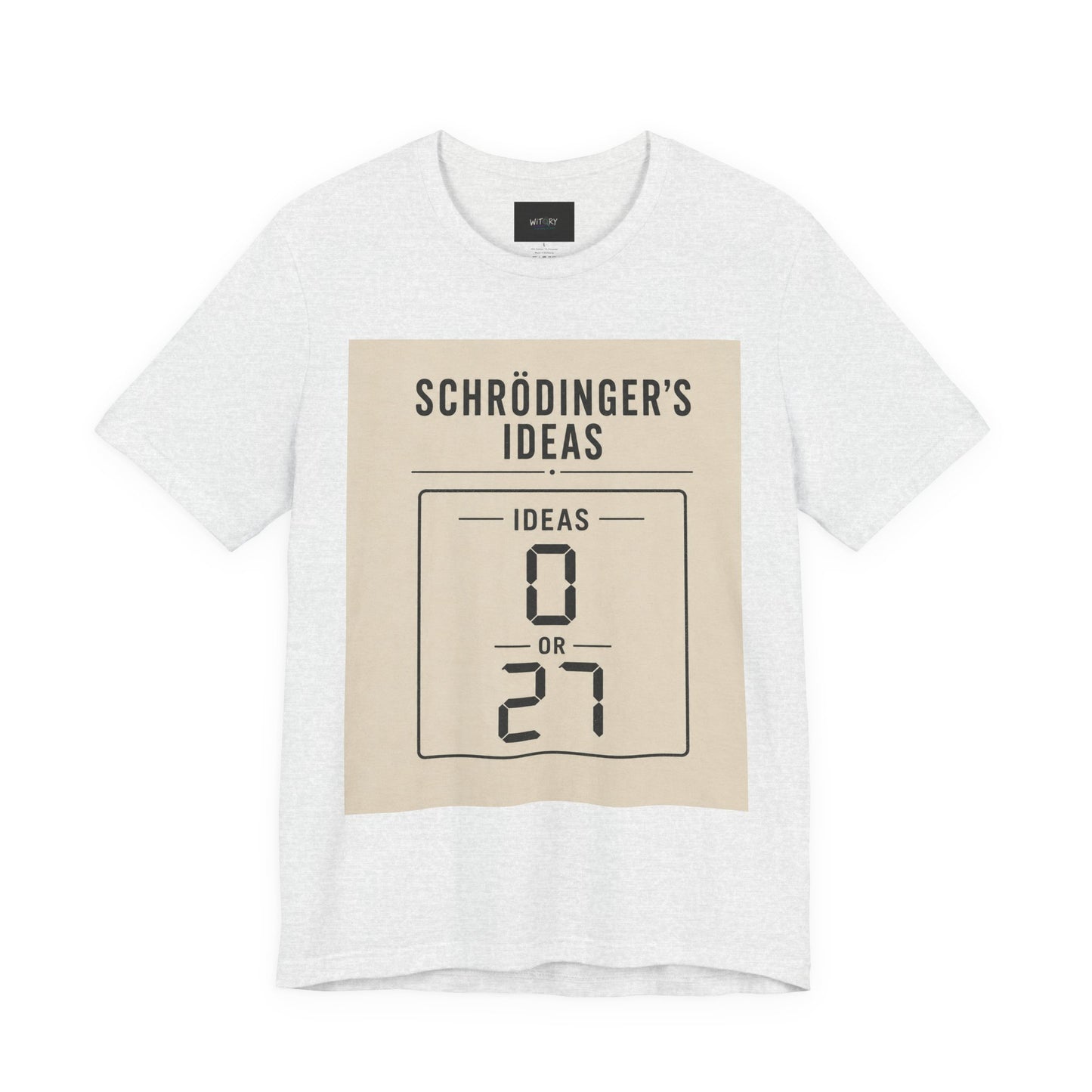 Schrödinger's Ideas