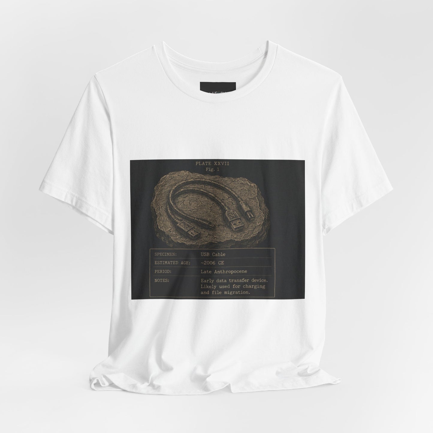 Modern Fossil