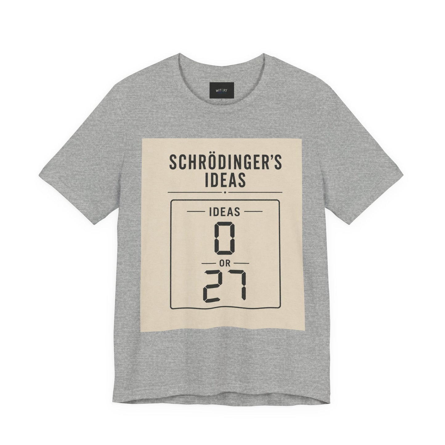 Schrödinger's Ideas