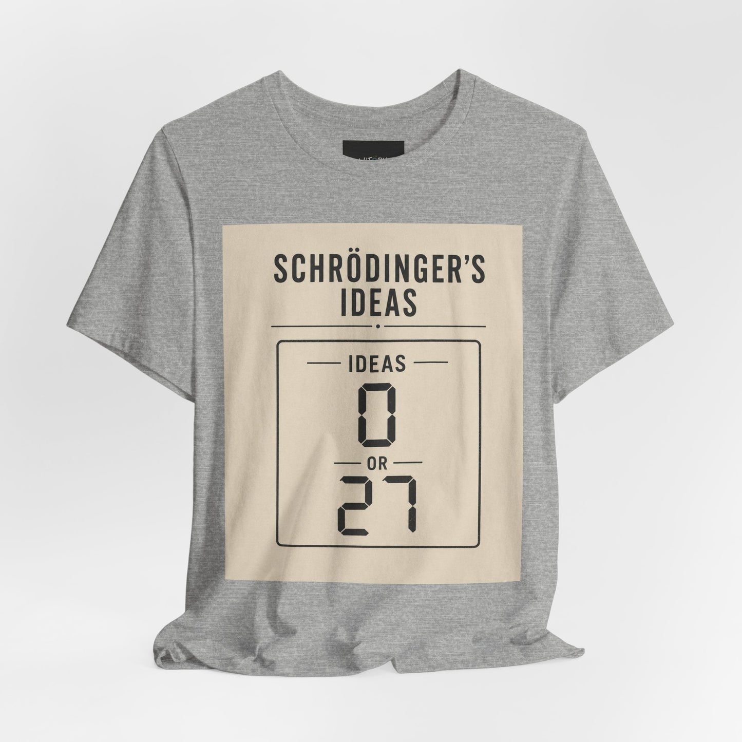 Schrödinger's Ideas
