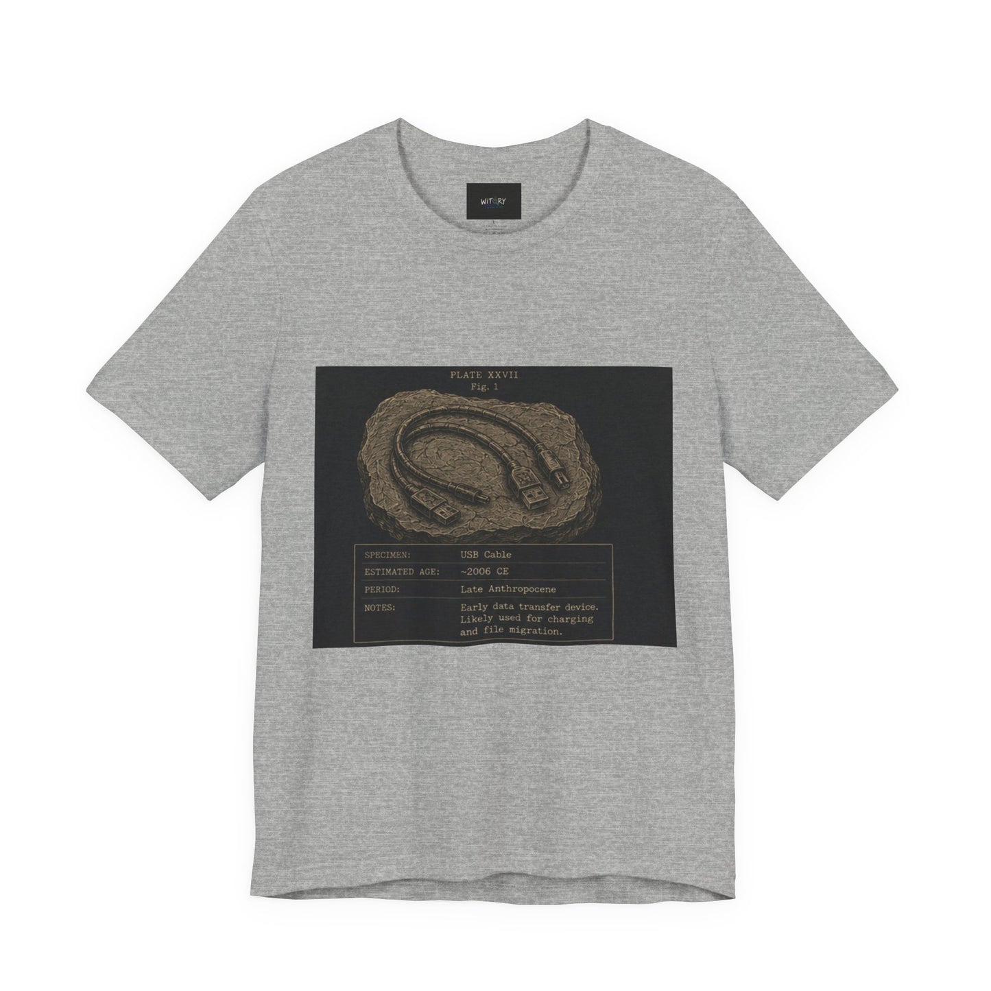 Modern Fossil