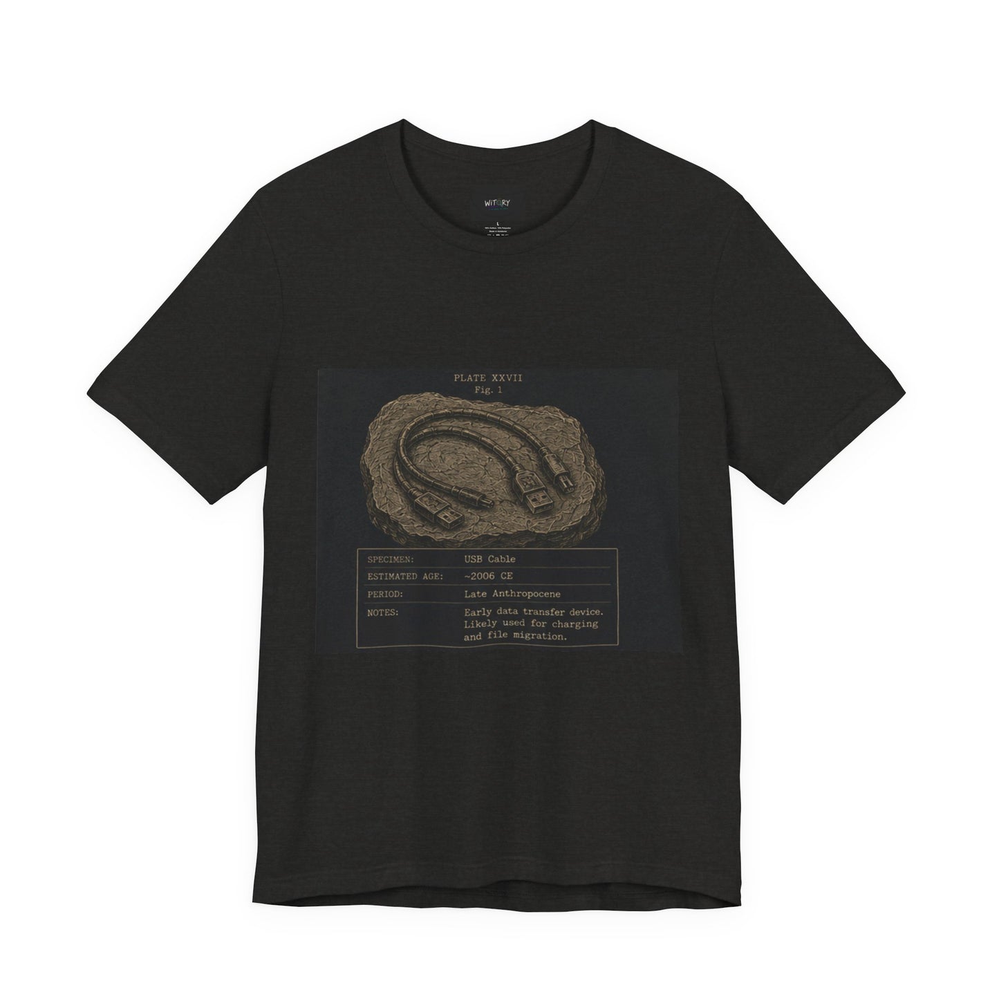 Modern Fossil
