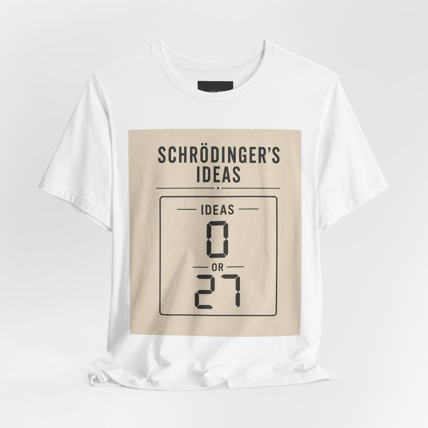 Schrödinger's Ideas