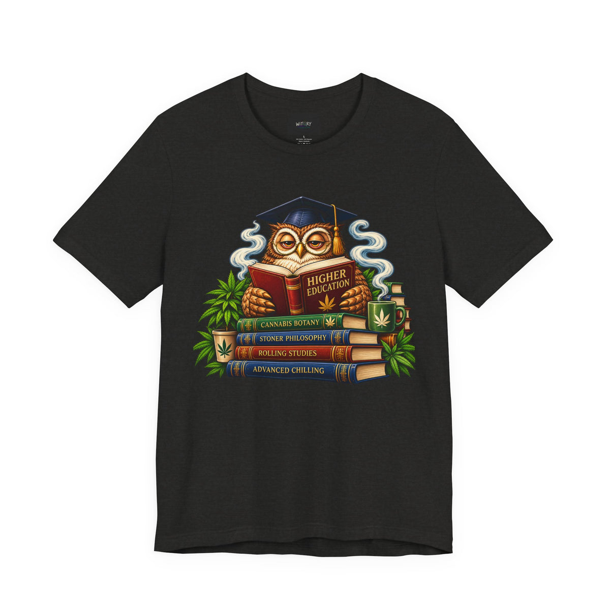 Higher Education