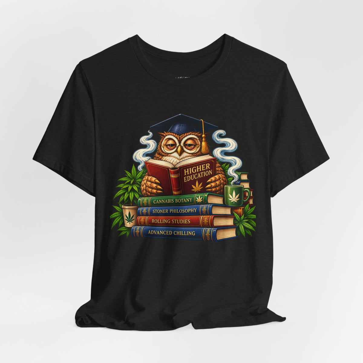 Higher Education